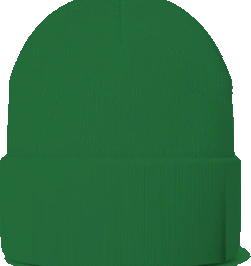 Cleveland Elementary (Chargers) Beanie — Irish Green back