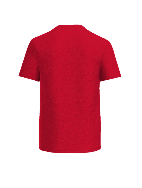Dayton Digital Academy Polo — Red back