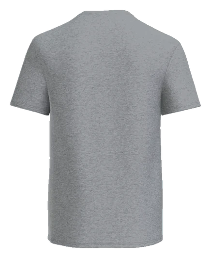 Earley Academy Tee — Sport Grey back