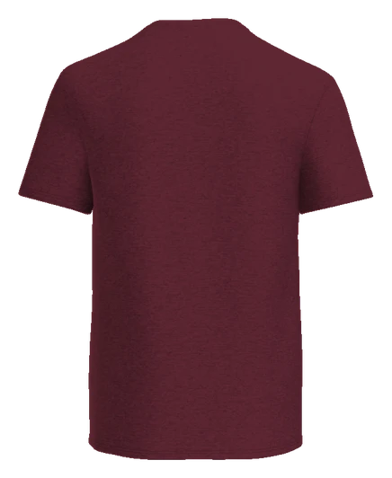 Earley Academy Tee — Maroon back