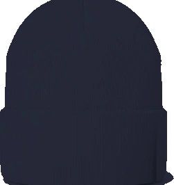Fairview Elementary Beanie — Navy back