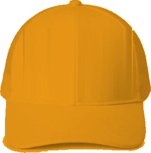 Fairview Elementary Trucker Hat — Gold back