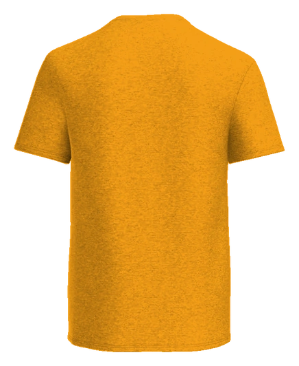 Fairview Elementary Tee — Gold back