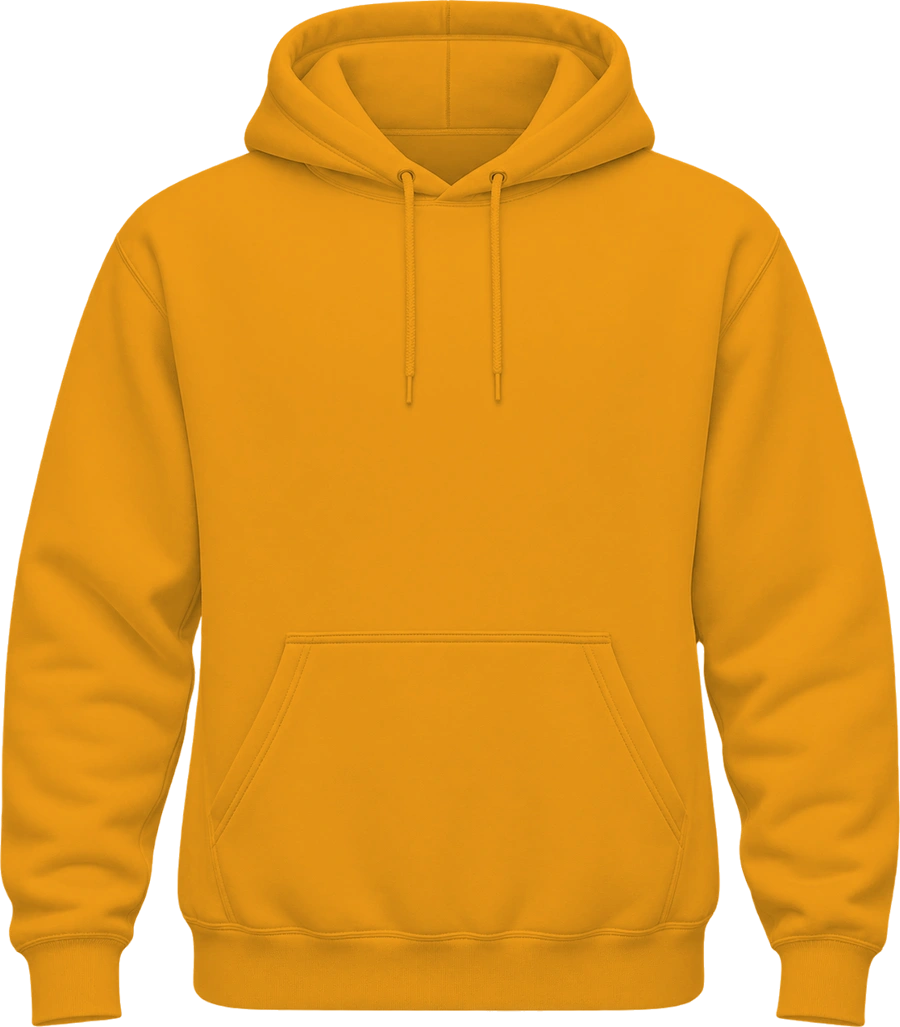 Fairview Elementary Hoodie — Gold back