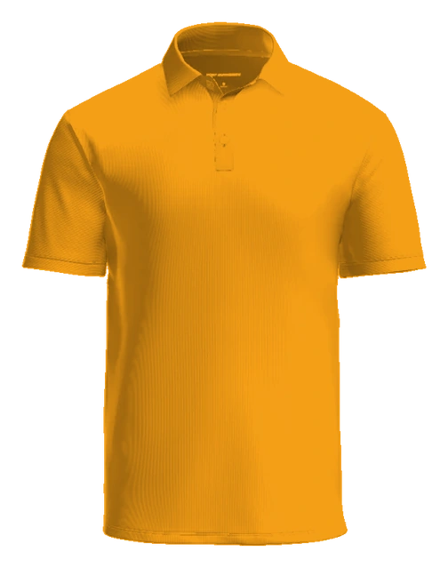 Fairview Elementary Polo — Gold back