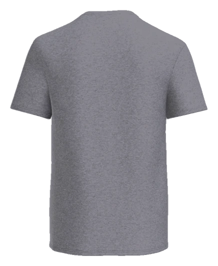 Fairview Elementary Tee — Sport Grey back