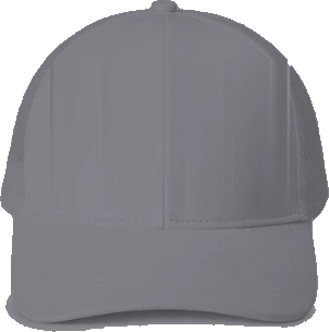 Fairview Elementary Trucker Hat — Sport Grey back