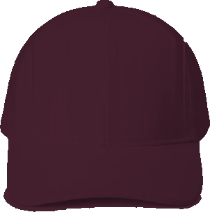 Horace Mann Elementary Trucker Hat — Maroon back