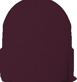 Horace Mann Elementary Beanie — Maroon back