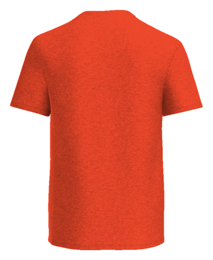Horizon Science Academy Dayton Tee — Orange back