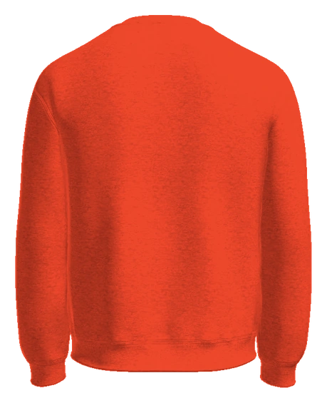 Horizon Science Academy Dayton Crewneck — Orange back