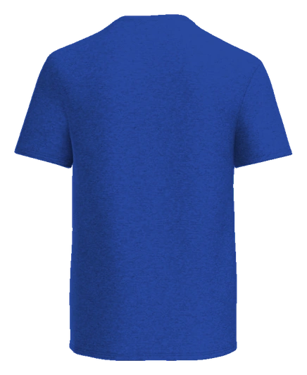 Kemp Elementary Tee — Royal back