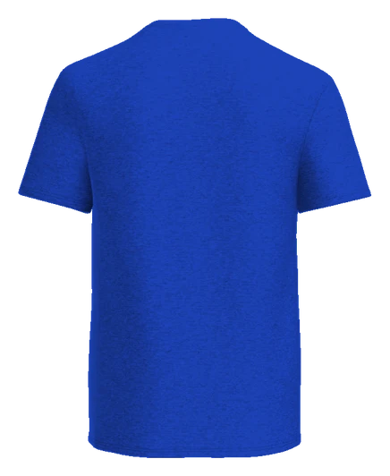 Kemp Elementary Tee — True Royal back