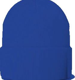 Kemp Elementary Beanie — Royal back