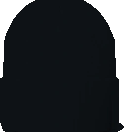 Kemp Elementary Beanie — Black back