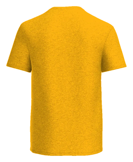 Kiser Elementary Tee — Gold back
