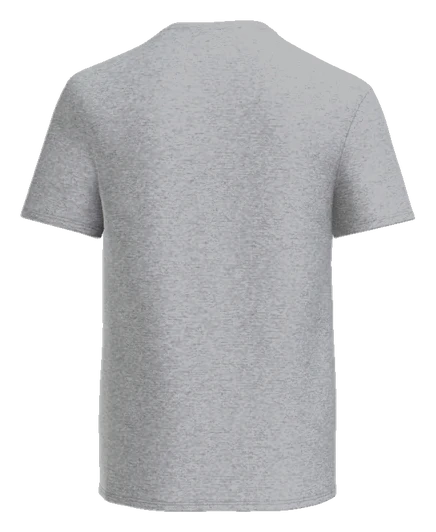 Northridge Polar Bears Tee — Ash back