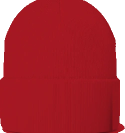 Northridge Polar Bears Beanie — Red back