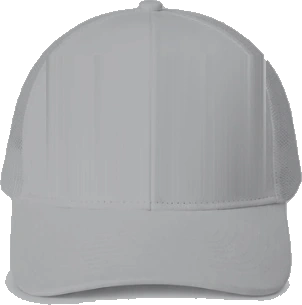 Northridge Polar Bears Trucker Hat — Ash back