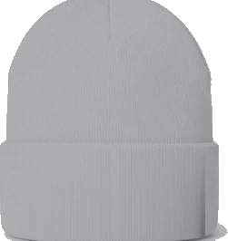 Northridge Polar Bears Beanie — Ash back