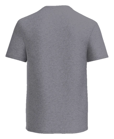 Paul Laurence Dunbar High School Team Spirit Nike Tee — Sport Grey back