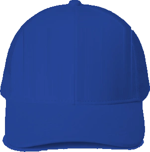 Paul Laurence Dunbar High School Trucker Hat — Royal back
