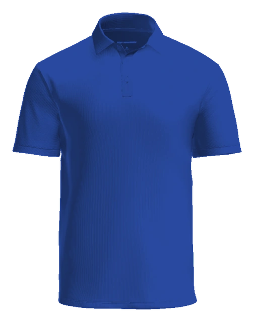 Ponitz Career Technology Center Polo — Royal back