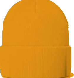 Ponitz Career Technology Center Beanie — Gold back