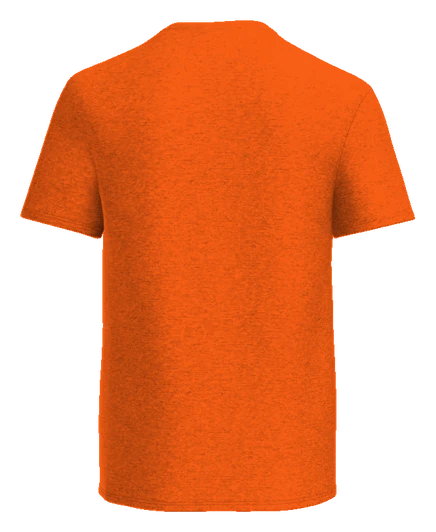 Shaw Elementary (E.G. Shaw) Tee — S. Orange back