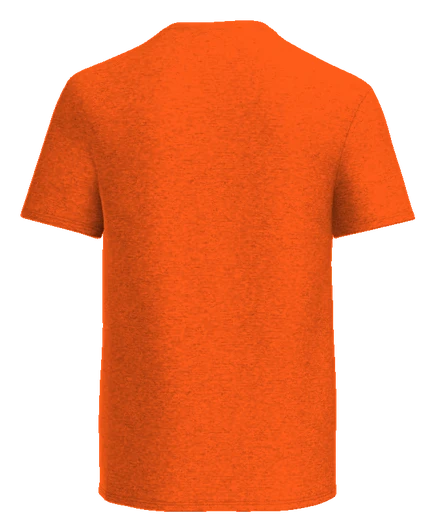 Stivers School for the Arts Tee — Orange back