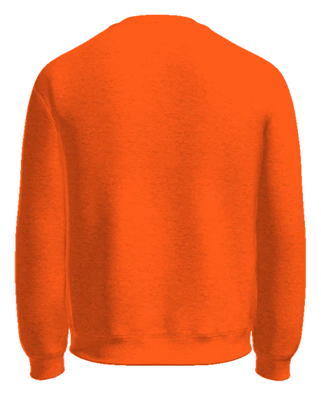 Stivers School for the Arts Crewneck — Orange back