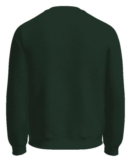 Summit Academy Crewneck — Forest Green back