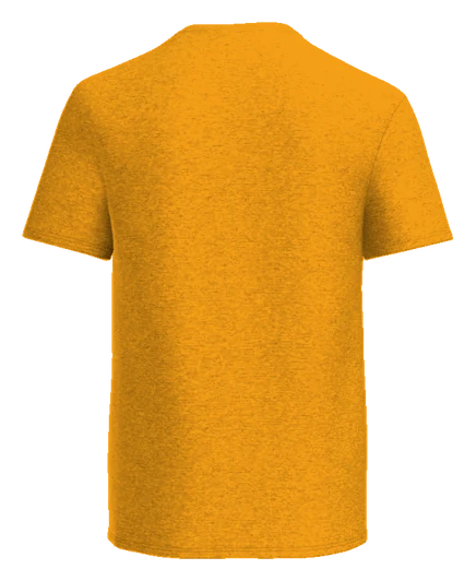 Summit Academy Tee — Gold back