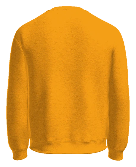 Summit Academy Crewneck — Gold back