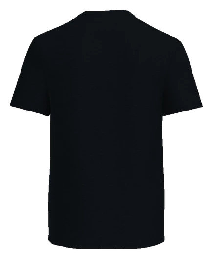 Summit Academy Tee — Black back