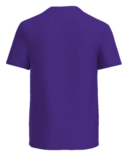 Thurgood Marshall STEM Tee — Purple back