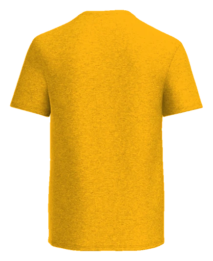 Thurgood Marshall STEM Tee — Gold back