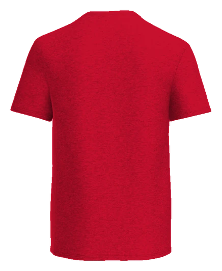 Trotwood-Madison High School Tee — Red back