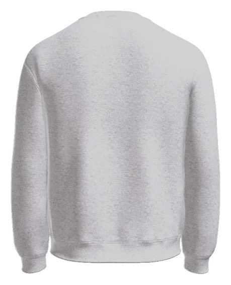 Tshirtkings High School Crewneck — Ash back