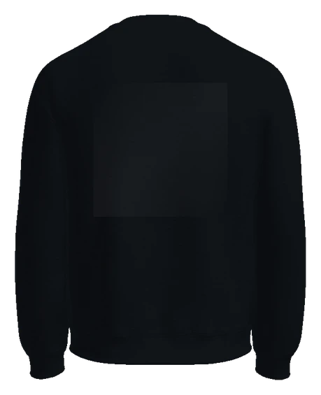 TSK Test Drop Crewneck — Black back