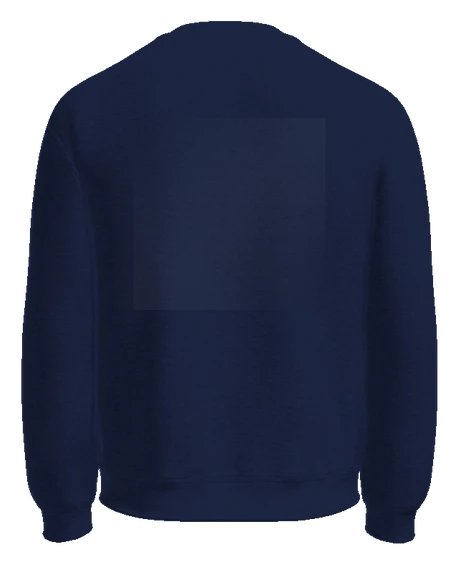 TSK Test Drop Crewneck — Navy back
