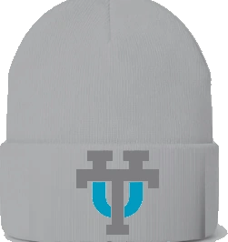 Coach Sat Shop Beanie — Ash front