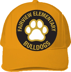 Fairview Elementary Trucker Hat — Gold front