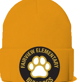 Fairview Elementary Beanie — Gold front