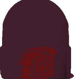 Horace Mann Elementary Beanie — Maroon front