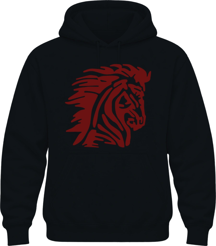 Horace Mann Elementary Hoodie — Black front