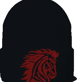 Horace Mann Elementary Beanie — Black front