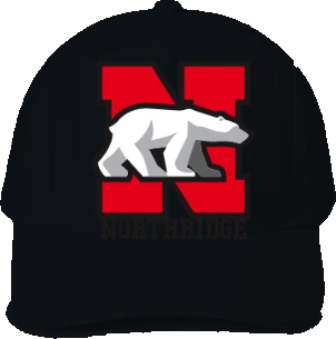 Northridge Polar Bears Trucker Hat — Black front