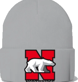 Northridge Polar Bears Beanie — Ash front