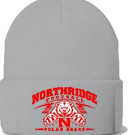 Northridge Polar Bears Beanie — Ash front